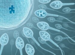 الحقن المجهري in-vitro fertilization IVF